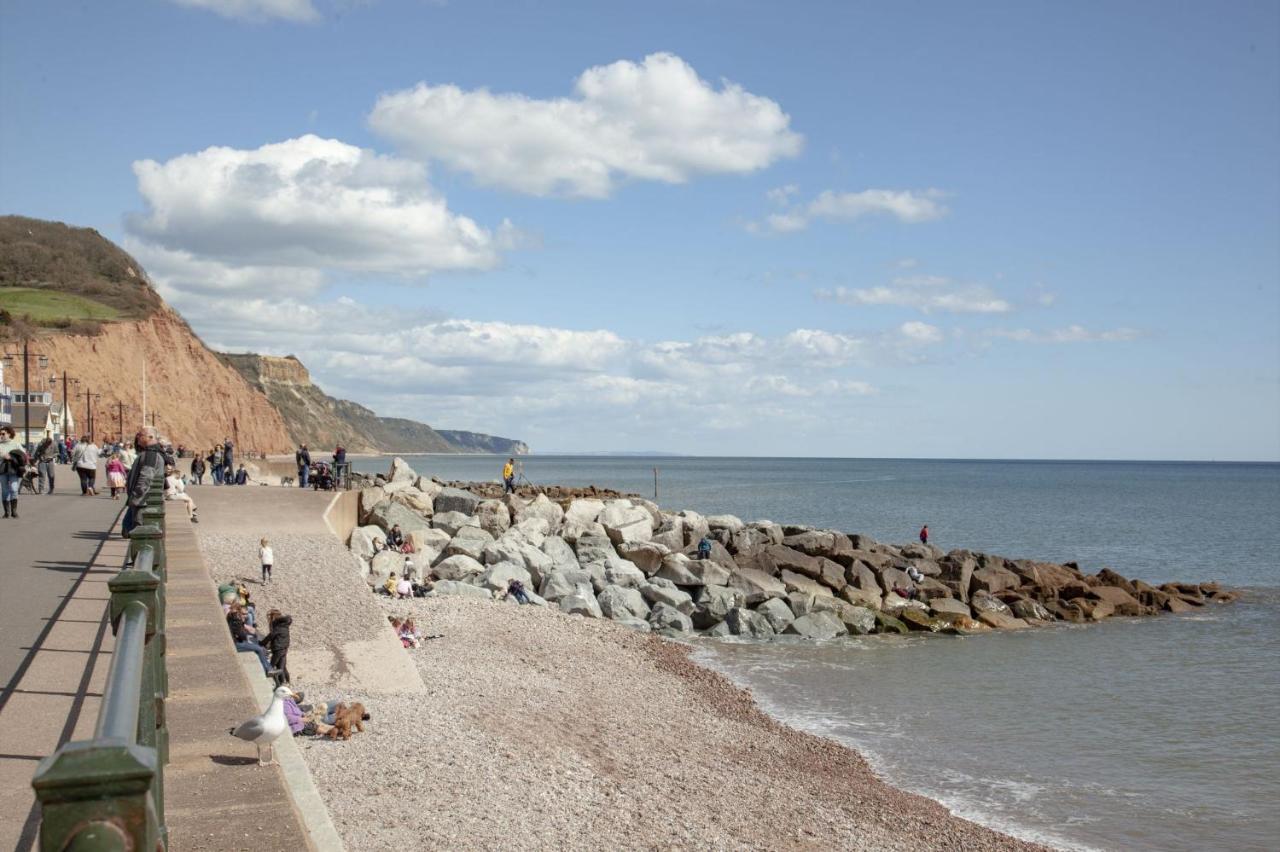 Cobblers Cottage Sidmouth Εξωτερικό φωτογραφία