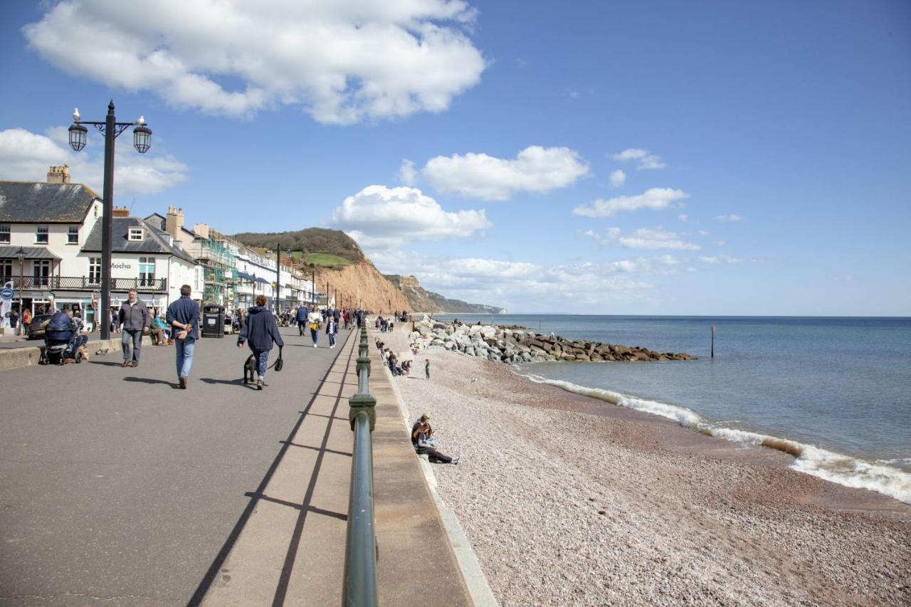 Cobblers Cottage Sidmouth Εξωτερικό φωτογραφία